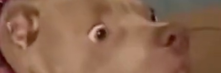 acrosstheward's profile banner image