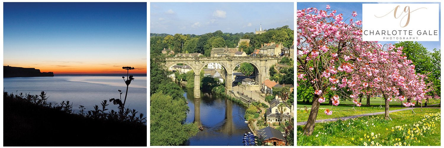 Charlotte Gale banner