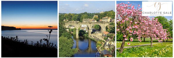 Chargale Profile Banner