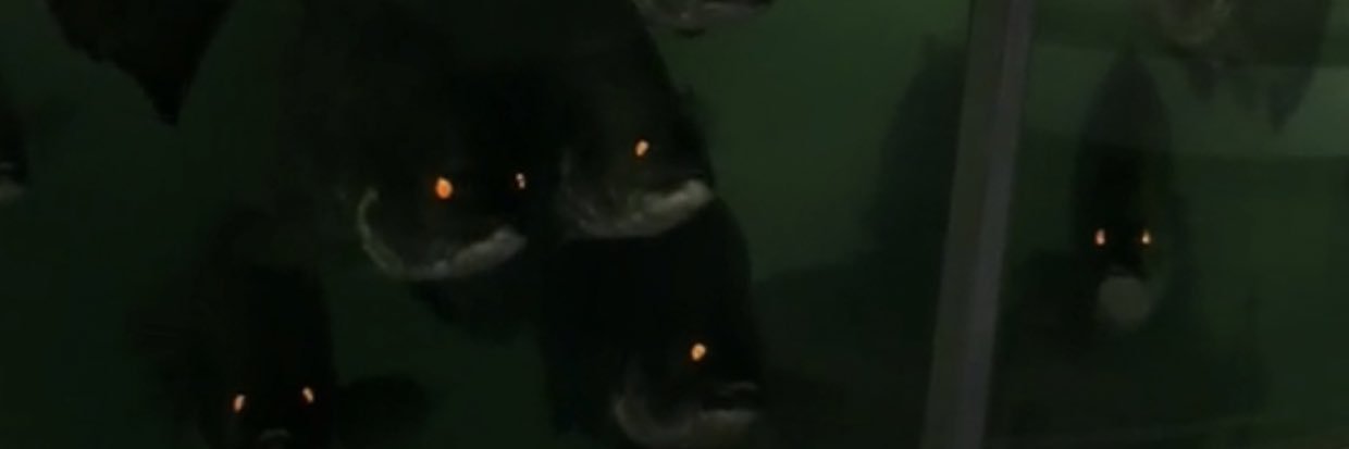 ambvrp's profile banner image