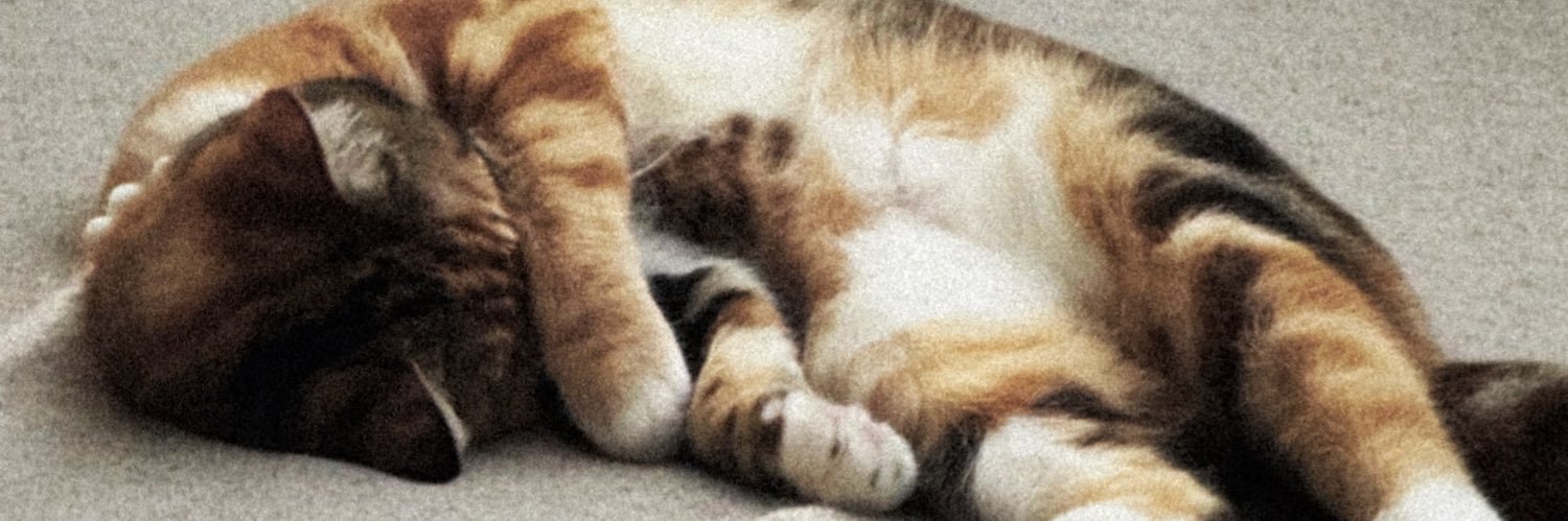 iMahsv's profile banner image