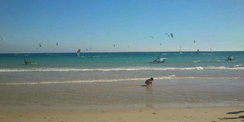 Raquel López Suárez banner