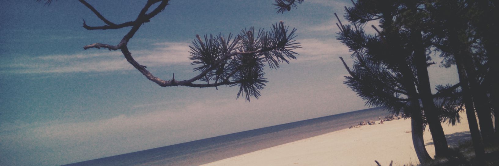 trakaa_1's profile banner image