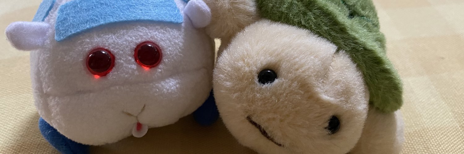 maimieちゃん🧸ボーカリスト banner