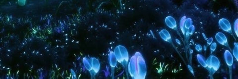 Nefeli🌌 banner