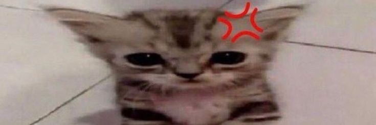 Raekeyk's profile banner image