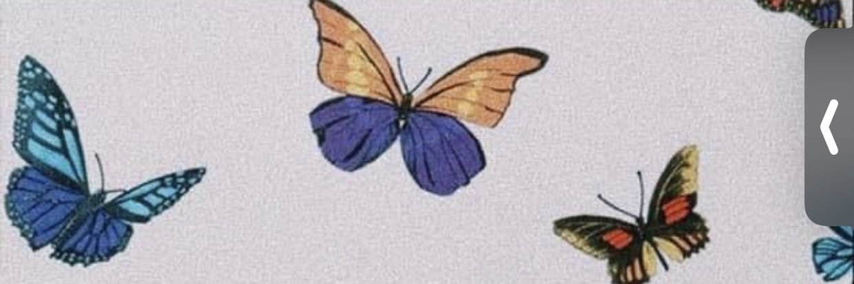 taliyahc__'s profile banner image