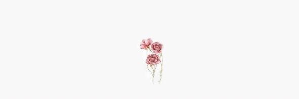 laleesxo's profile banner image