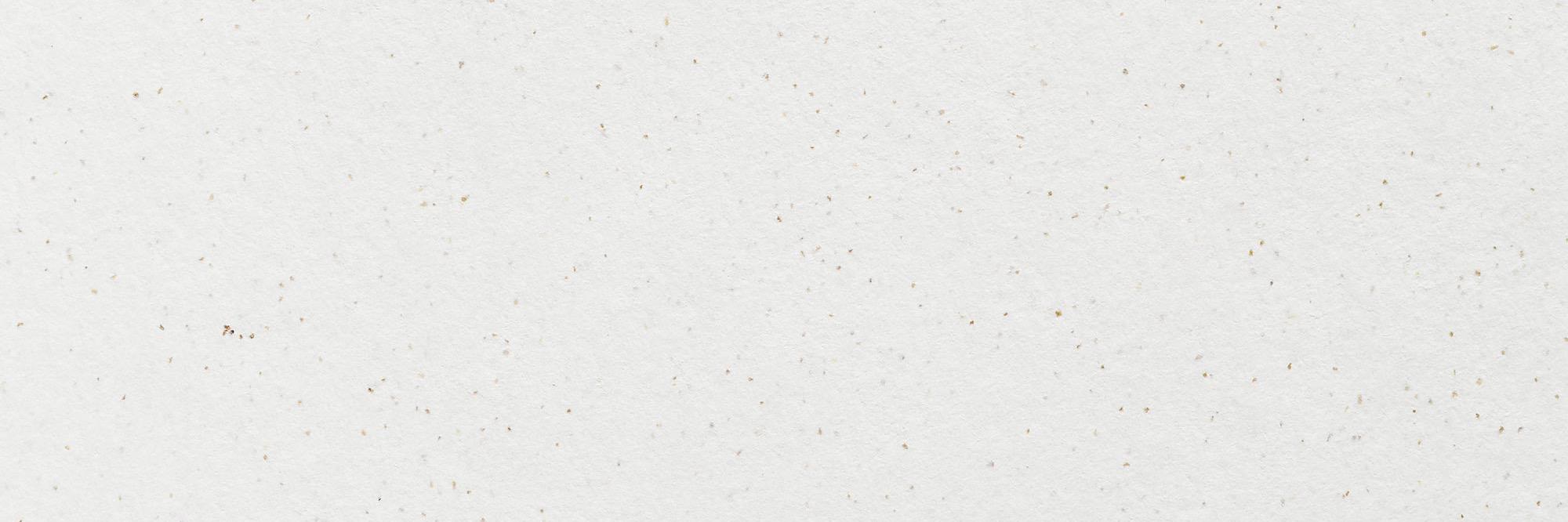 LoganandSaul's profile banner image