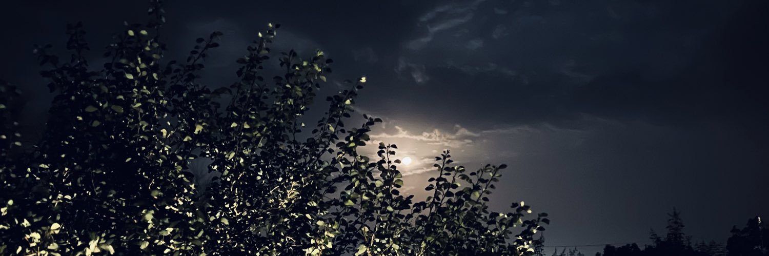 محمد banner