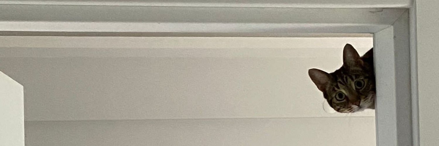 sponge_bong41's profile banner image