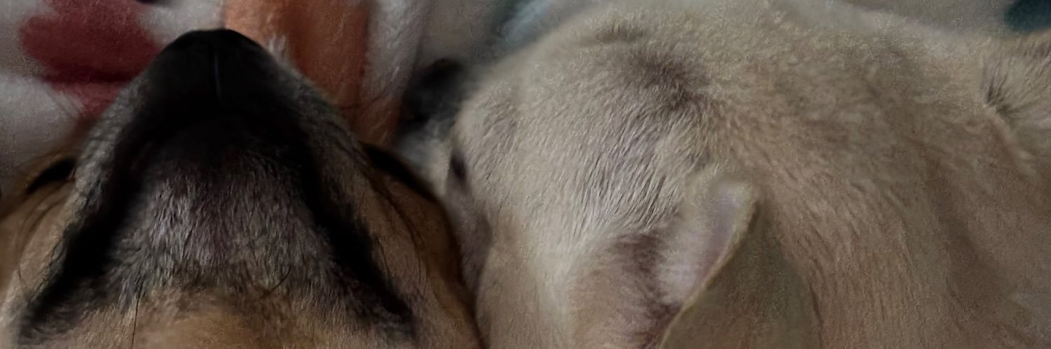 Bebethsal's profile banner image