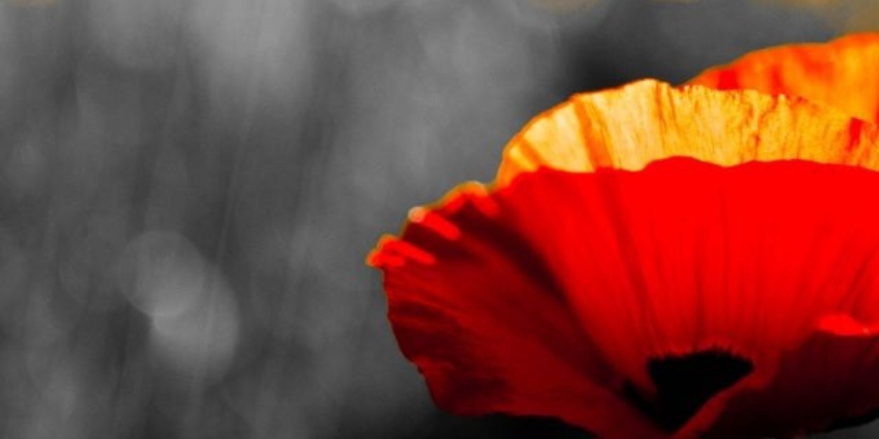 Marcecalderonp's profile banner image
