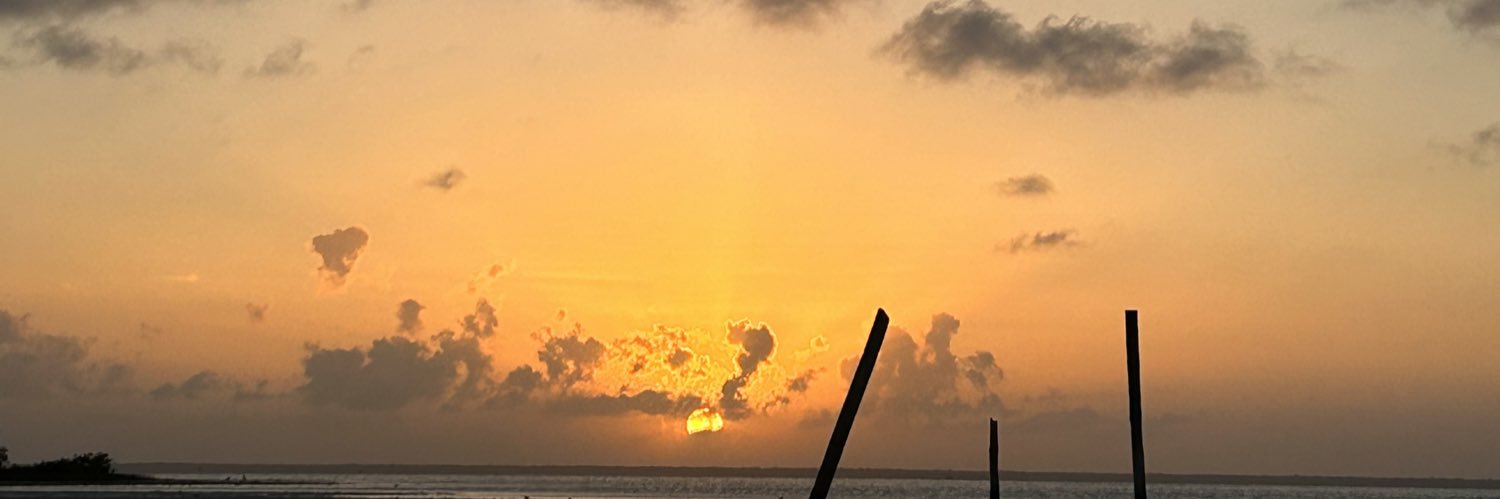 AndySoosa's profile banner image