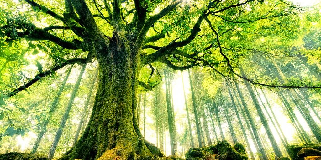 OurWorldPix's profile banner image