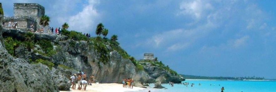 monica springsteen banner