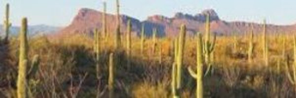 BjhBrian Profile Banner