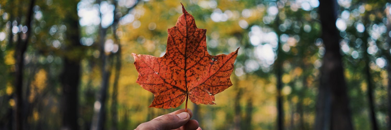 Western Communication Report banner