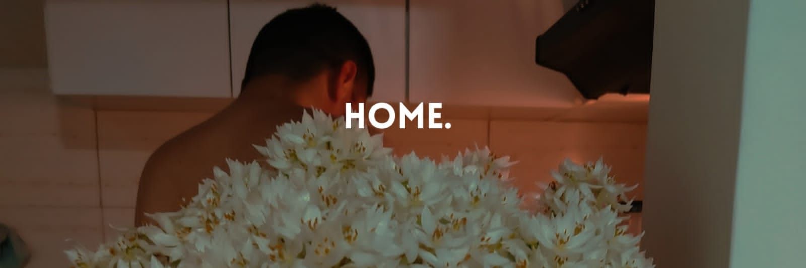 elangelsilva's profile banner image