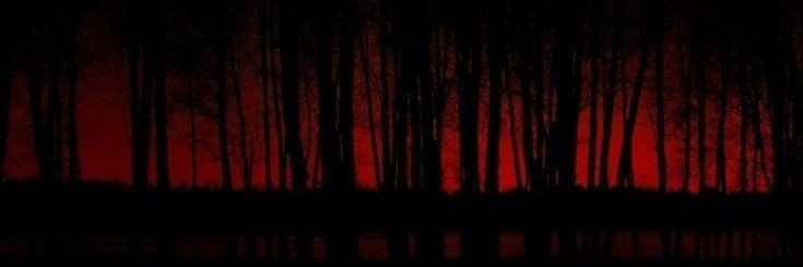 Kafs0808's profile banner image
