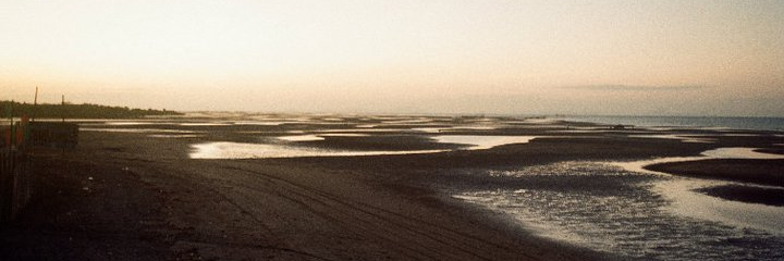 shazzee034's profile banner image