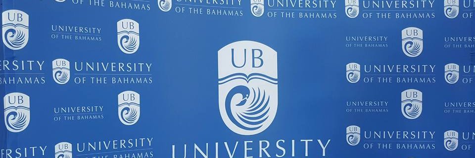UB_Libraries's profile banner image