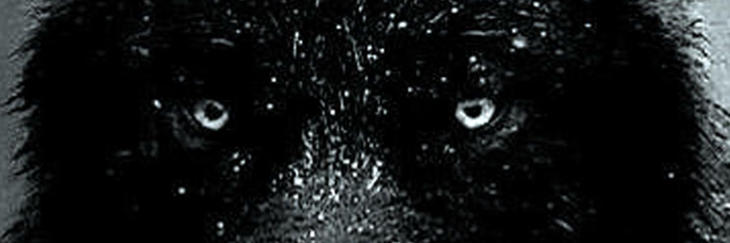 ant_nelson08's profile banner image