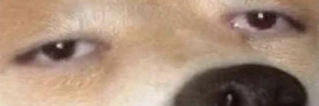 LXllmj's profile banner image