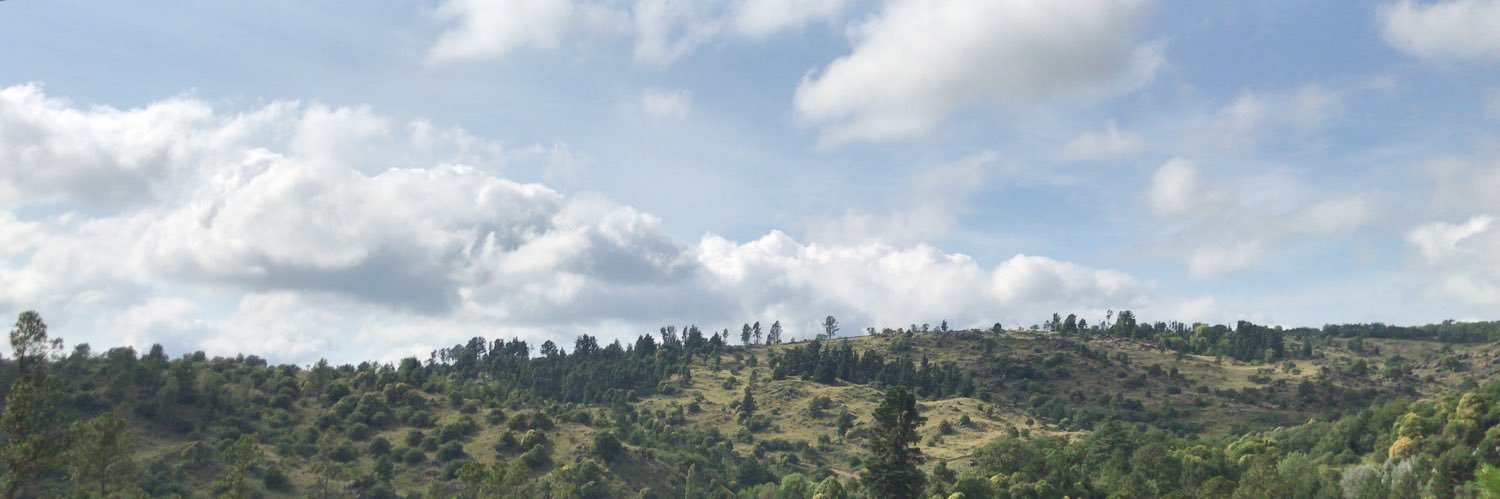 laresmateo's profile banner image