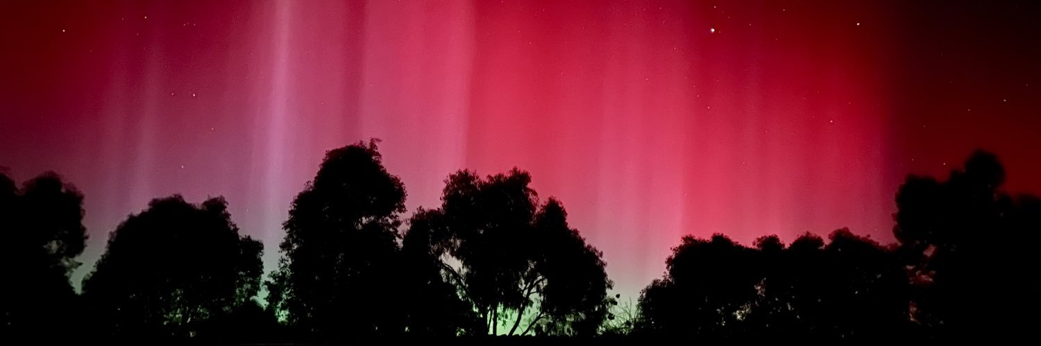 Piper australis banner