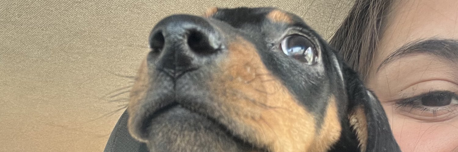 epitelial's profile banner image
