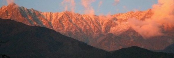 SiaGuleria Profile Banner
