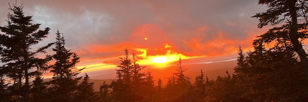 nguyen_jie Profile Banner