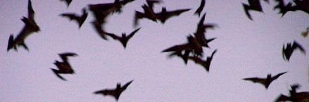 abbieffion's profile banner image