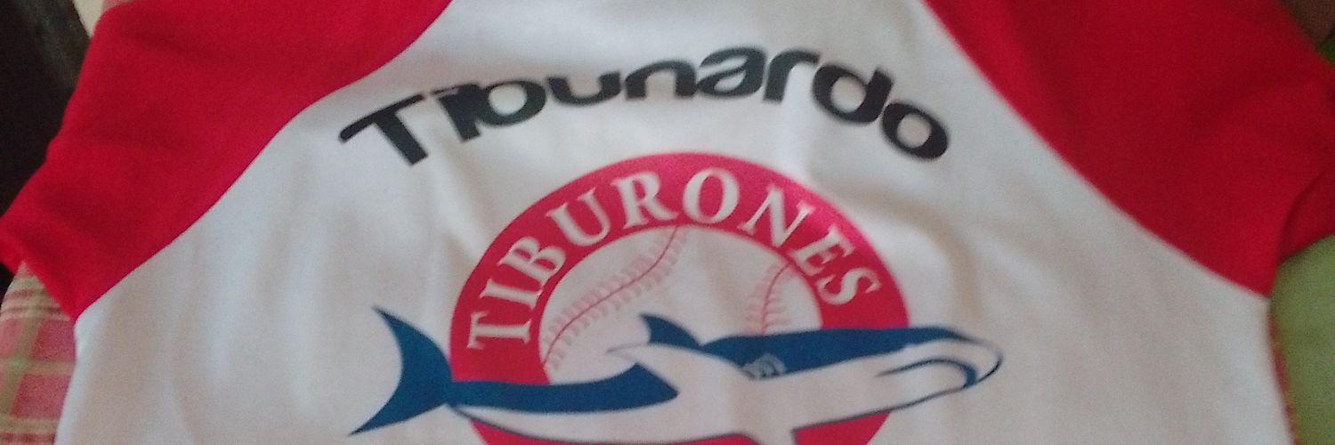 TIBUNARDO's profile banner image