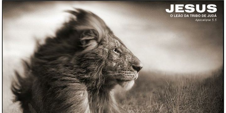 DuZulu's profile banner image