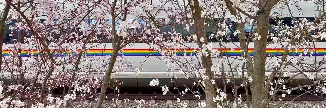 𝙋𝘼𝙏𝙍𝙄𝘾𝙆 𝘼𝙐𝙁 𝙏𝙊𝙐𝙍 𝕏 banner