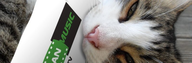 IranMusicTV's profile banner image