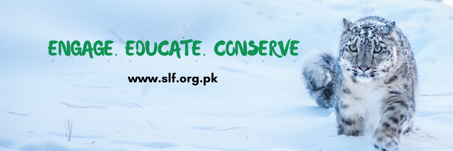 Snow Leopard Foundation banner
