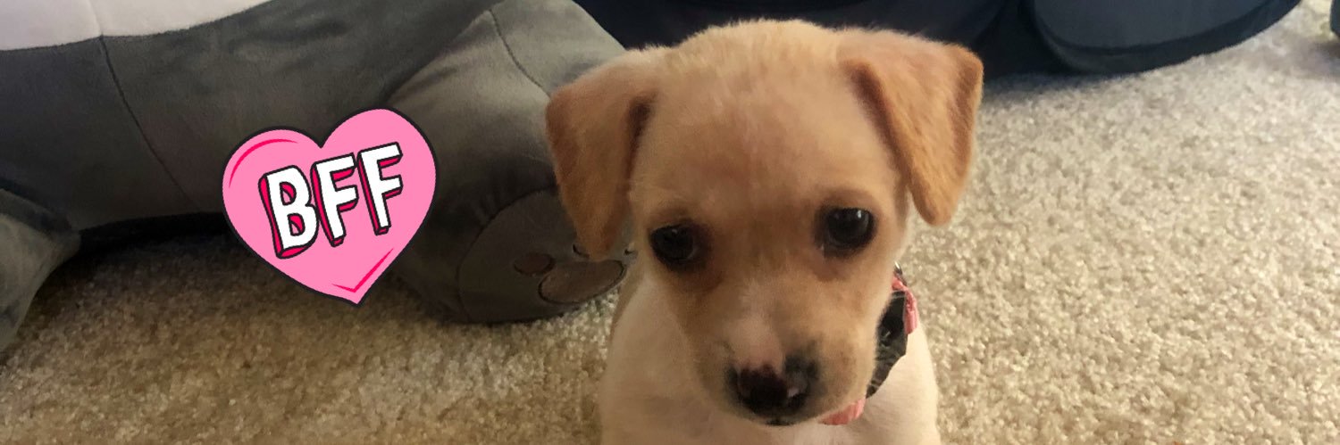 Ellennparkk's profile banner image