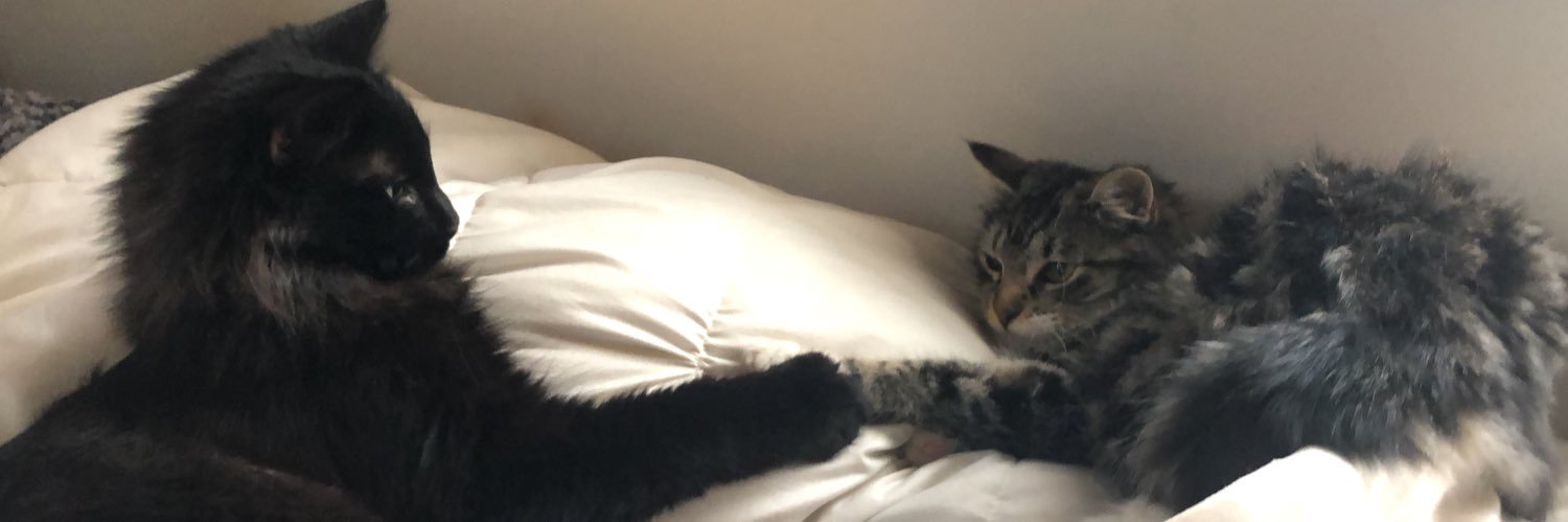 lyssaatnip's profile banner image