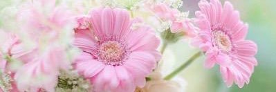 ﮼صاحبة،السمو banner