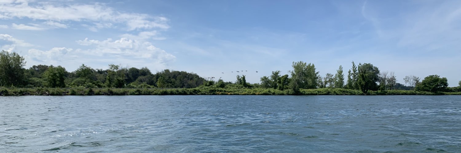 Bryan Brazeau banner