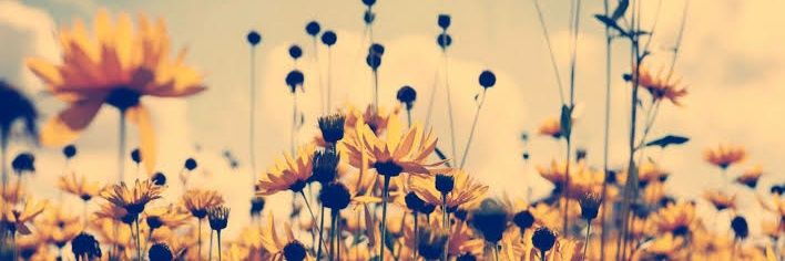 uflyyy's profile banner image