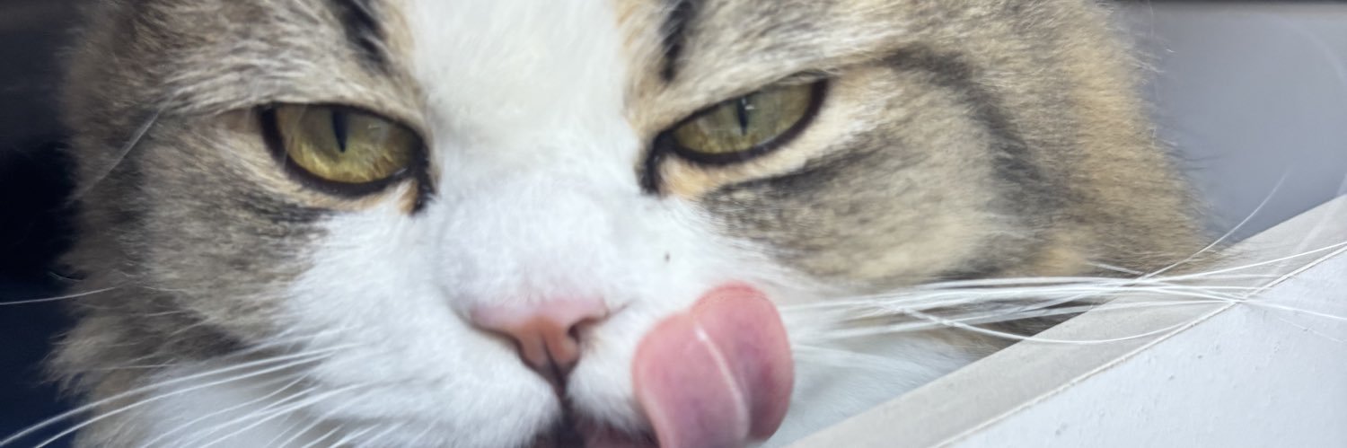 aj_unl's profile banner image