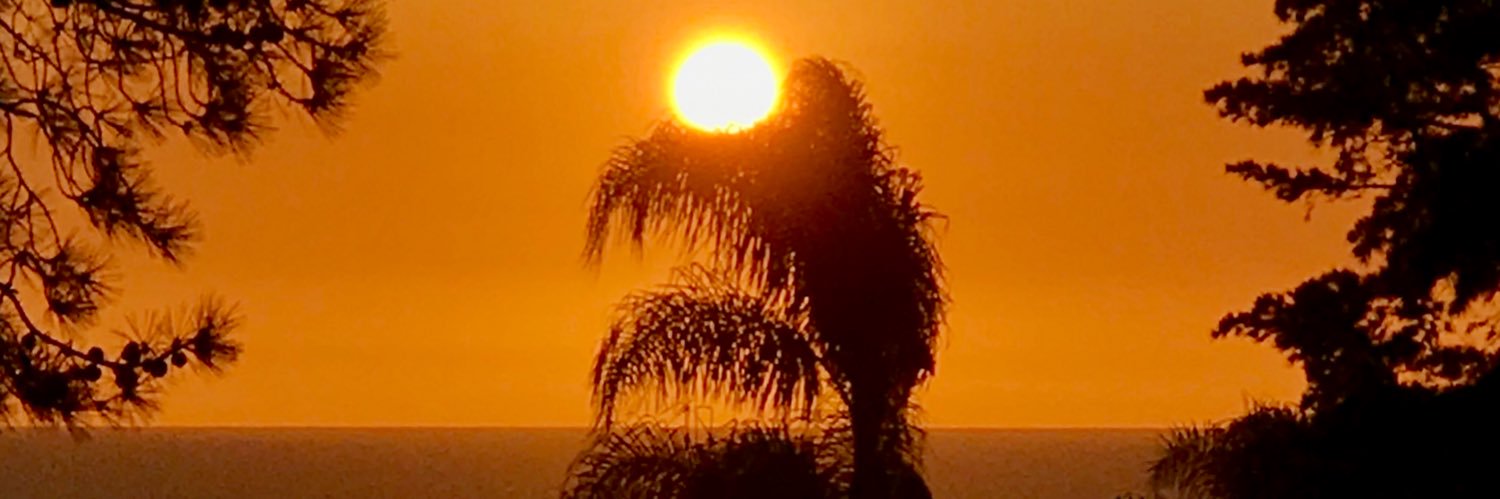 ecocjr's profile banner image