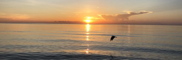 ivan_bezdomny Profile Banner