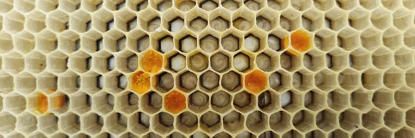 hiveopolis Profile Banner