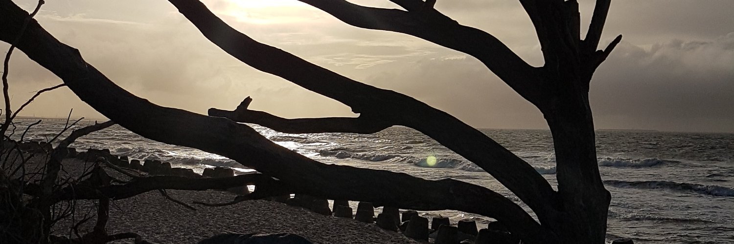 8nt8r's profile banner image