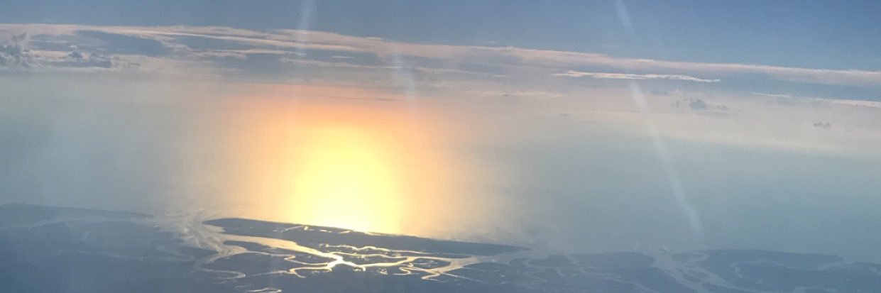 tehorne's profile banner image